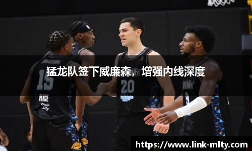 猛龙队签下威廉森，增强内线深度