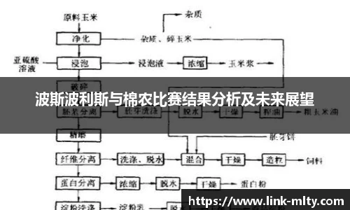 波斯波利斯与棉农比赛结果分析及未来展望